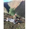 Image 1 : 2-day Hawaii Axis Deer Hunt for One Hunter