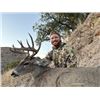 Image 1 : 5-day/6-night Mexico Coues Deer Hunt for One Hunter