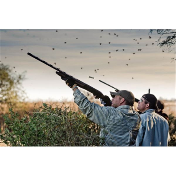 4-day/3-night Argentina High Volume Dove Hunt for Two Hunters