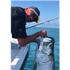 Image 2 : 3-day Florida Tarpon Fishing Trip for One Angler