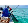 Image 3 : 3-day Florida Tarpon Fishing Trip for One Angler