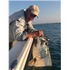 Image 4 : 3-day Florida Tarpon Fishing Trip for One Angler