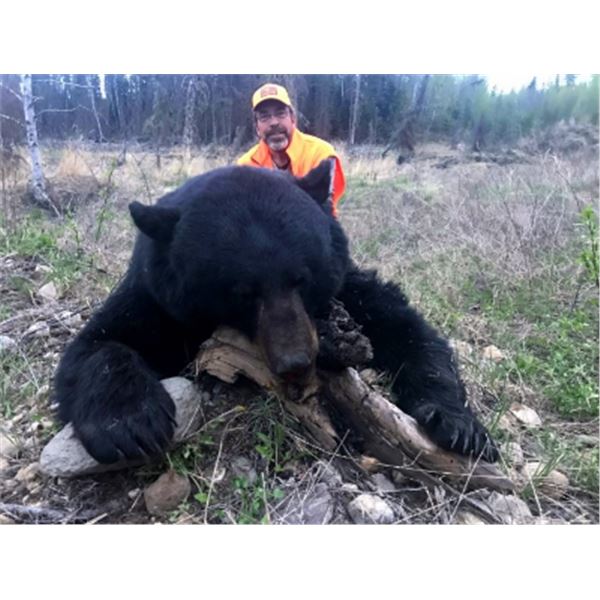 6-day Saskatchewan Black Bear Hunt for One Hunter