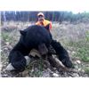 Image 1 : 6-day Saskatchewan Black Bear Hunt for One Hunter