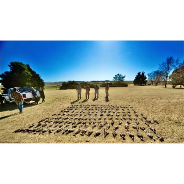 4-day Argentina High Volume Dove Hunt for Two Hunters
