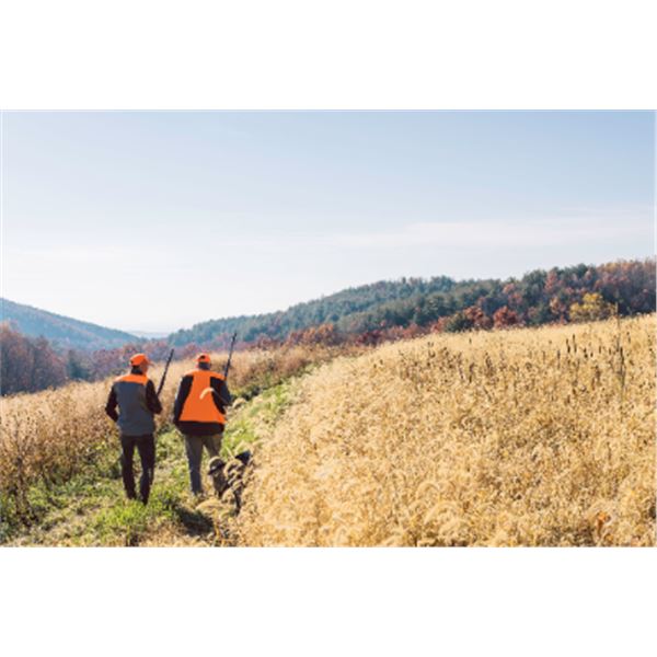 2-day Virginia Upland Bird Hunt and Fishing Adventure for Two Hunters and Two Non-Hunters