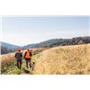 Image 1 : 2-day Virginia Upland Bird Hunt and Fishing Adventure for Two Hunters and Two Non-Hunters