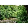Image 2 : 2-day Virginia Upland Bird Hunt and Fishing Adventure for Two Hunters and Two Non-Hunters