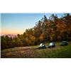 Image 3 : 2-day Virginia Upland Bird Hunt and Fishing Adventure for Two Hunters and Two Non-Hunters