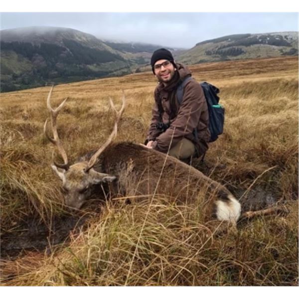 5-night/4-day Ireland Sika deer and cross between Red and Sika Red Sika Hybrid and Goat Hunt (hunter