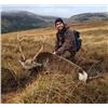 Image 1 : 5-night/4-day Ireland Sika deer and cross between Red and Sika Red Sika Hybrid and Goat Hunt (hunter