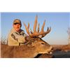 Image 1 : 7-day Alberta Northwestern White-tailed Deer Archery Hunt for One Hunter