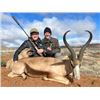 Image 1 : 7-day South African Springbok Slam Hunt for One hunter and One Non-hunter