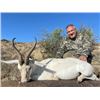 Image 2 : 7-day South African Springbok Slam Hunt for One hunter and One Non-hunter