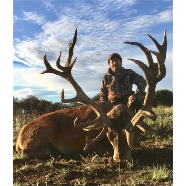 4-day/5-night Argentina Red Stag (Any Size) Hunt for One Hunter and One Non-Hunter