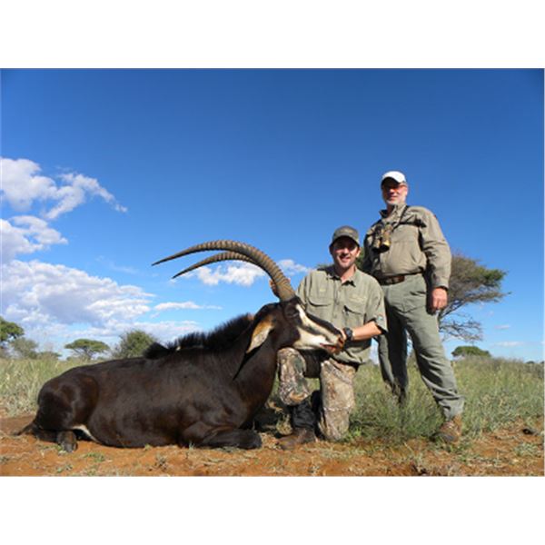 7-day South Africa Sable Hunt for One Hunter and One Non-Hunter