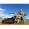 Image 1 : 7-day South Africa Sable Hunt for One Hunter and One Non-Hunter