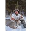 Image 1 : 6-day Saskatchewan White-tailed Deer Hunt for One Hunter