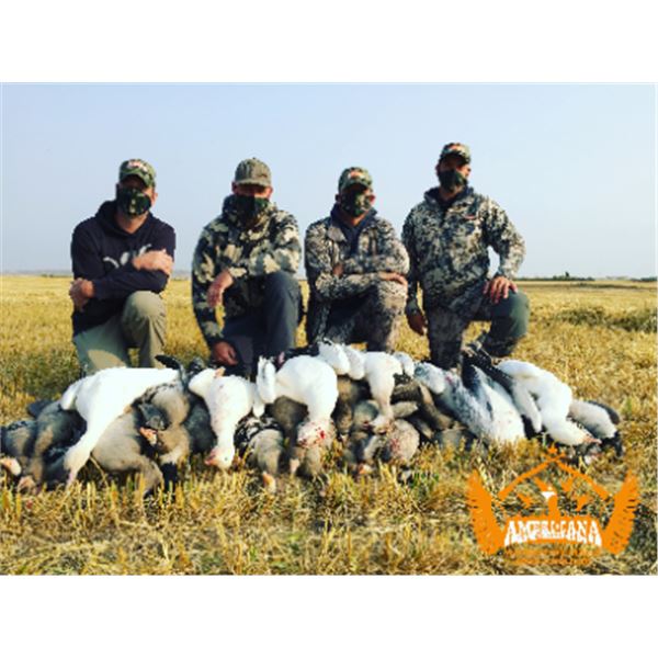 3-day Alberta Waterfowl and Sandhill Cranes Hunt for Two Hunters