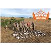 Image 3 : 3-day Alberta Waterfowl and Sandhill Cranes Hunt for Two Hunters
