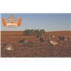 Image 4 : 3-day Alberta Waterfowl and Sandhill Cranes Hunt for Two Hunters
