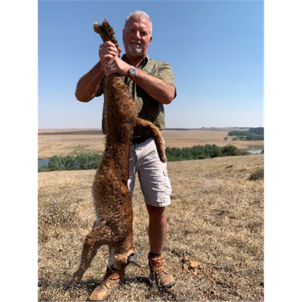 7-day South Africa Small Slam Hunt for One Hunter and One Non-Hunter