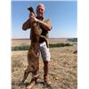Image 1 : 7-day South Africa Small Slam Hunt for One Hunter and One Non-Hunter