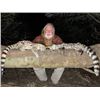 Image 4 : 7-day South Africa Small Slam Hunt for One Hunter and One Non-Hunter