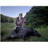 Image 3 : 3-day California Hog Hunt for Two Hunters and Two Non-Hunters