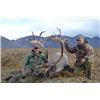 Image 1 : 6-day Alaskan Barren Ground Caribou Hunt for One Hunter