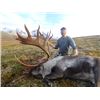 Image 2 : 6-day Alaskan Barren Ground Caribou Hunt for One Hunter