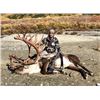Image 3 : 6-day Alaskan Barren Ground Caribou Hunt for One Hunter