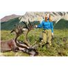 Image 4 : 6-day Alaskan Barren Ground Caribou Hunt for One Hunter