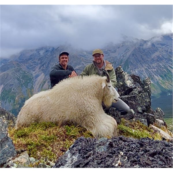 10-day British Columbia Mountain Goat Hunt for One Hunter
