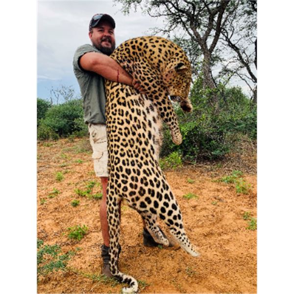 12-day South Africa Leopard Hunt and Full Mount Taxidermy Credit ($10,000) for One Hunter and One No