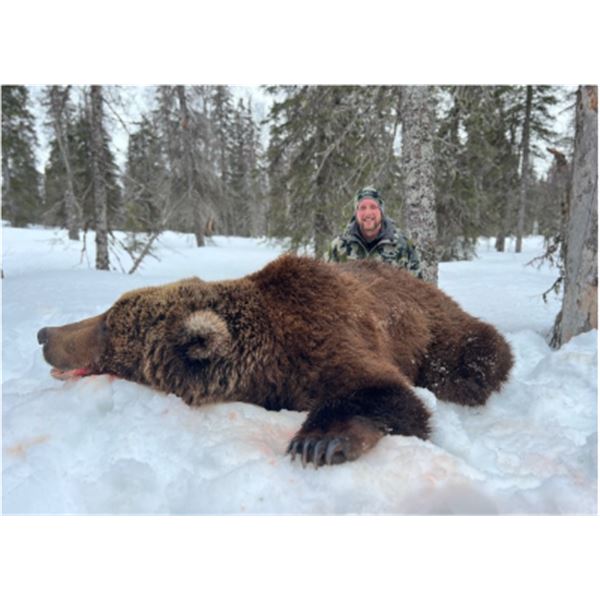 10-day Alaska Brown Bear Hunt for One Hunter