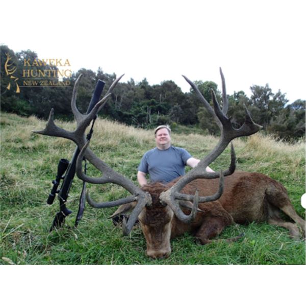 5-day New Zealand Red Stag (Up to 500 SCI) Hunt for Two Hunters and Two Non-hunters