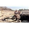 Image 3 : 14-Day Zimbabwe Exportable Elephant and Cape Buffalo Hunt for One Hunter and One Non-hunter