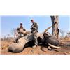 Image 4 : 14-Day Zimbabwe Exportable Elephant and Cape Buffalo Hunt for One Hunter and One Non-hunter
