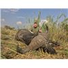 Image 5 : 14-Day Zimbabwe Exportable Elephant and Cape Buffalo Hunt for One Hunter and One Non-hunter