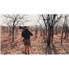 Image 7 : 14-Day Zimbabwe Exportable Elephant and Cape Buffalo Hunt for One Hunter and One Non-hunter