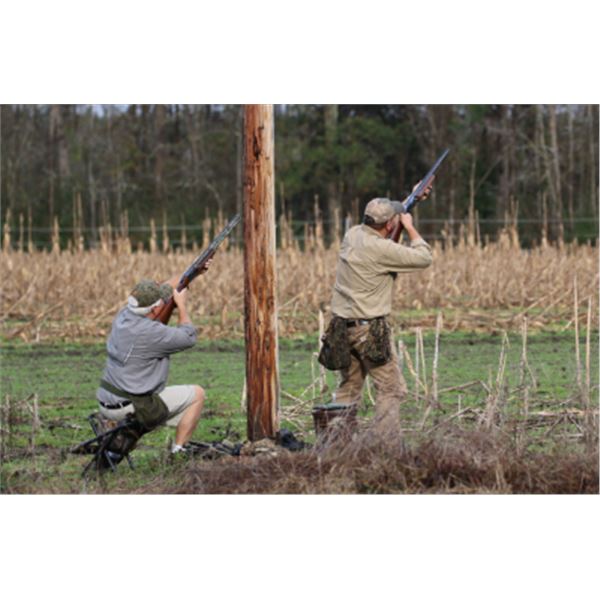 4-Day South Carolina Low Country Quail and Bass Combo for Four Hunters