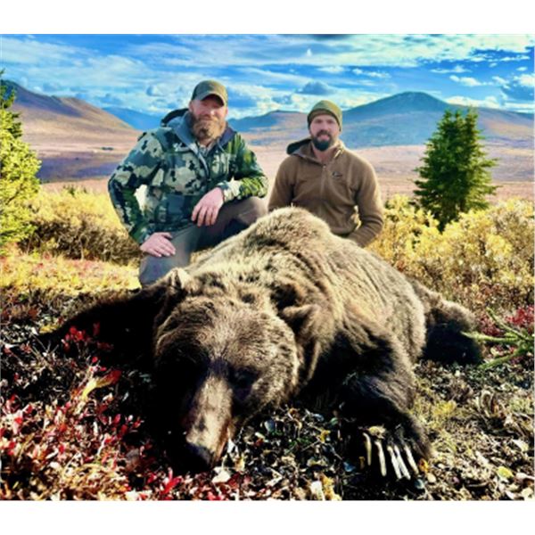 10-day Yukon Grizzly Bear Hunt for One Hunter