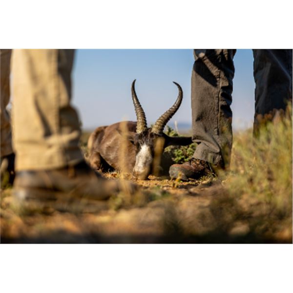 10-day South Africa Plains Game Hunt with Craig Boddington for One Hunter and One Non-Hunter