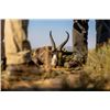 Image 1 : 10-day South Africa Plains Game Hunt with Craig Boddington for One Hunter and One Non-Hunter