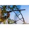 Image 3 : 10-day South Africa Plains Game Hunt with Craig Boddington for One Hunter and One Non-Hunter