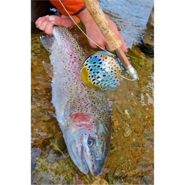 6-day/6-night Alaska Halibut, Grayling, Salmon and Rainbow Trout Fishing Trip for Two Anglers