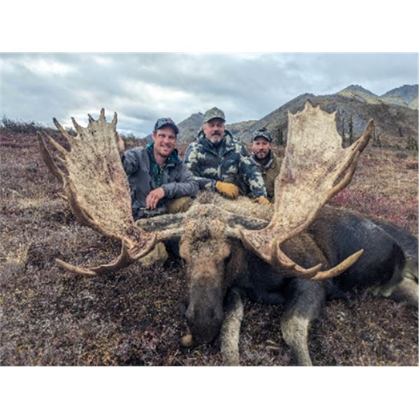 10-day Alaska-Yukon Moose Hunt for One Hunter
