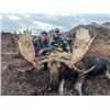 Image 1 : 10-day Alaska-Yukon Moose Hunt for One Hunter