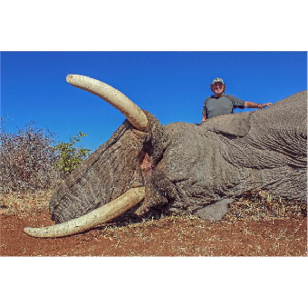 10-day Botswana Elephant Hunt for One Hunter and One Non-Hunter